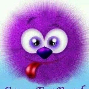 Meet your Posher, Sally